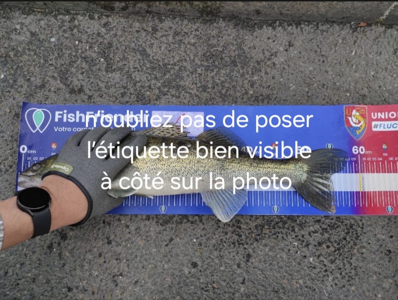 Exemple 1